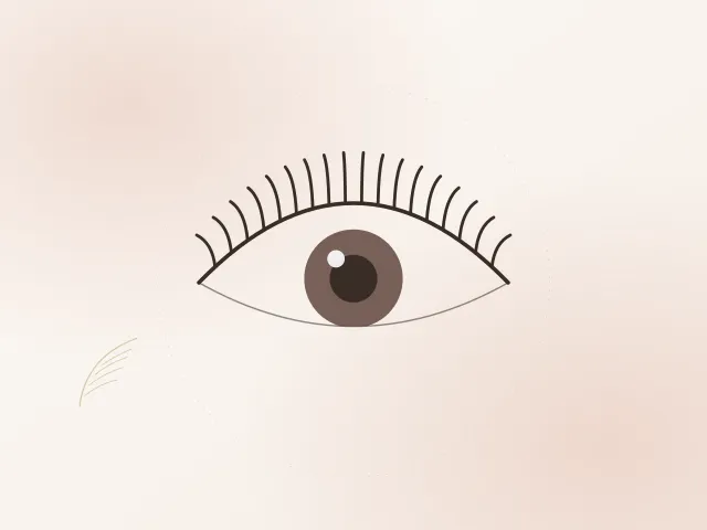 Mavie マスカラパーマの仕上がりイメージ（イラスト）