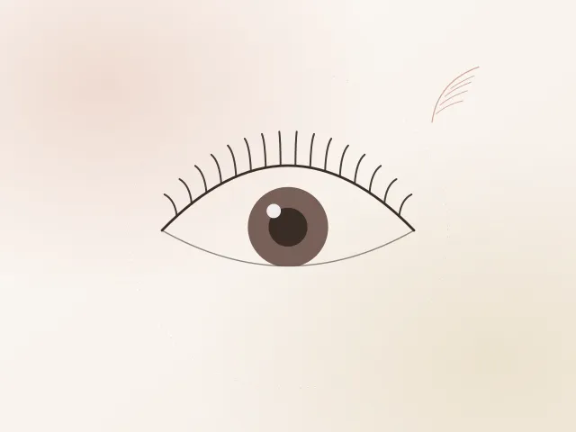 Mavie まつげパーマの仕上がりイメージ（イラスト）