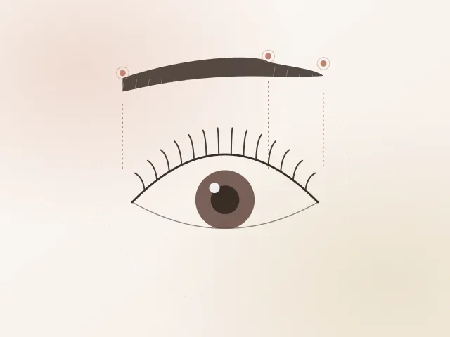 Mavie 眉毛×まつげパーマ セットの仕上がりイメージ（イラスト）