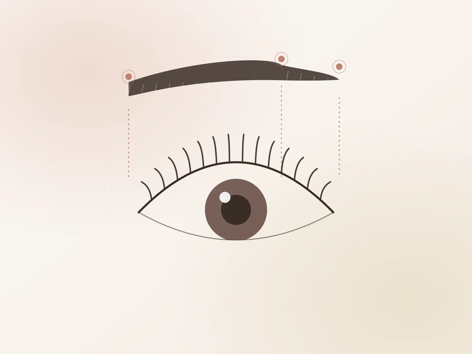 Mavie 眉毛×まつげパーマ セットの仕上がりイメージ（イラスト）